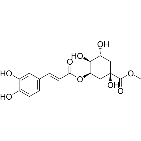 Neochlorogenic acid methyl ester (5-O-Caffeoylquinic acid methyl ester) 123410-6